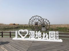-宁波杭州湾国家湿地公园