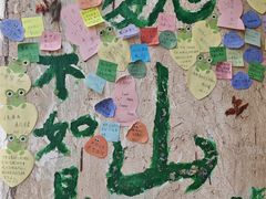 -巍山古城