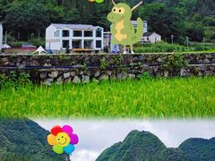 -万峰林风景区