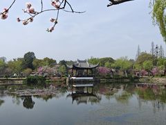 -无锡蠡湖国家湿地公园-蠡园