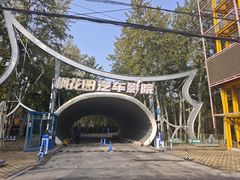 -枫花园汽车电影院(朝阳公园店)