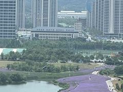 -洋湖国家湿地公园