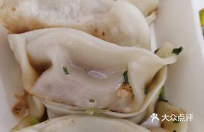 Pan-Fried Pork Dumplings
