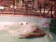 -正佳雨林生态植物园