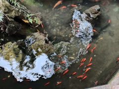-宝光寺