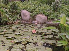 -晓港公园