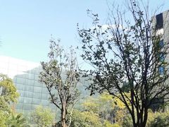 -W FITNESS 威尔仕健身·游泳(七宝店)