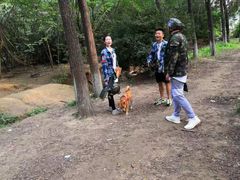 -亲兄弟真人CS团建拓展基地