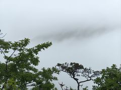 -大连天门山国家森林公园