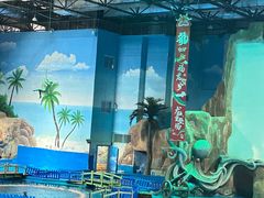 -华夏文旅海洋公园