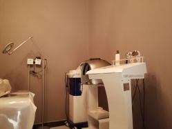 -三只熊皮肤管理中心