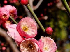 -静安雕塑公园