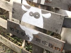 -前小桔亲子创意农场·草莓采摘·露营烧烤