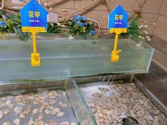 -蒙肥羊·酸汤潮牛·鲜牛肉火锅烤肉自助(岗顶店)