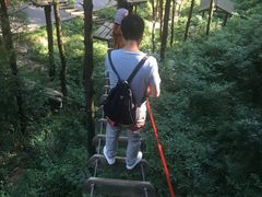 -梦幻奥陶纪景区