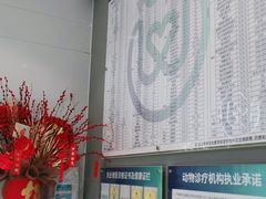 -关爱宠物医院·猫科中心·消化科(滨湖万达分院)