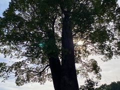 -韩湘水博园