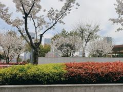 -人间酒暖·Go blanc·烧鸟·深夜食堂(陆家嘴店)