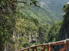-鹿院坪生态旅游景区