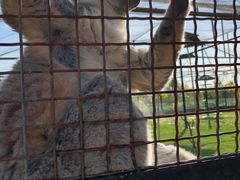 -石家庄市动物园