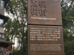 -泡桐树街