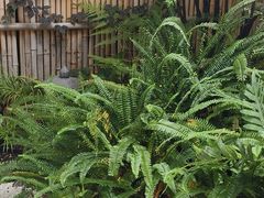 -玖合素手·轻养足浴SPA(云纺大悦城店)