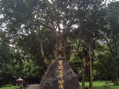 -海口火山口国家地质公园