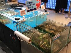 -盒马鲜生(曜一城店)