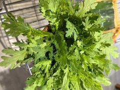 -友乐居羊蝎子(西直门店)