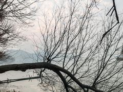 -东湖落雁景区