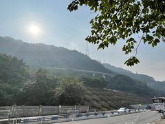 -李子坝梁山鸡(李子坝大鸡哥店)