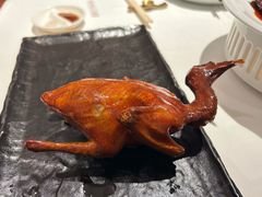 -侨美食家·40年地道粤菜(珠江新城店)