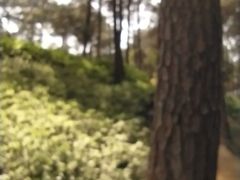 -铁山坪森林公园