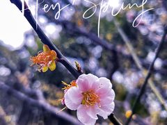 -静安雕塑公园