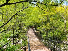 -崂山九水游览区