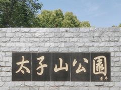 -太子山公园