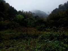 -红山村