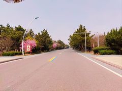 -日照海滨国家森林公园