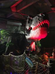 -恐龙探索乐园(磁器口店)