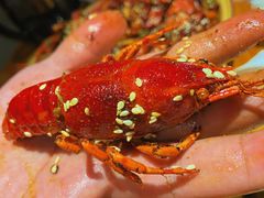 -金陵一哥龙虾馆(三牌楼总店)