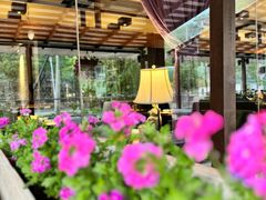 -Local泰莲庭(虹鳟鱼店)