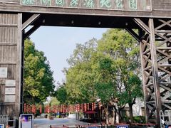 -溱湖国家湿地公园