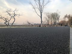 -星巴克(南京狮子桥店)