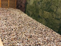 -海洋之星休闲汗蒸浴场