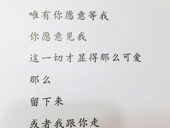 -吃饼人西餐(南开店)