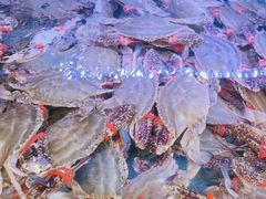 -日照大牌檔•小船海鲜(万平口店)