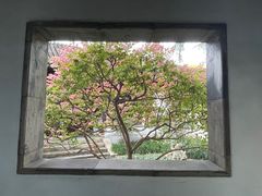 -秋霞圃