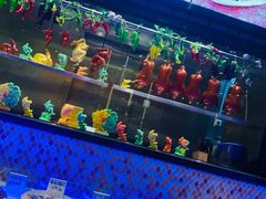 -上海会馆(香港名都店)