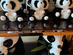 -成都保利公园皇冠假日酒店(熊猫基地店)