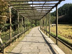 -常德桃花源景区